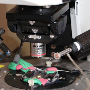 Preparing a Microscope Stage for Electrophysiology