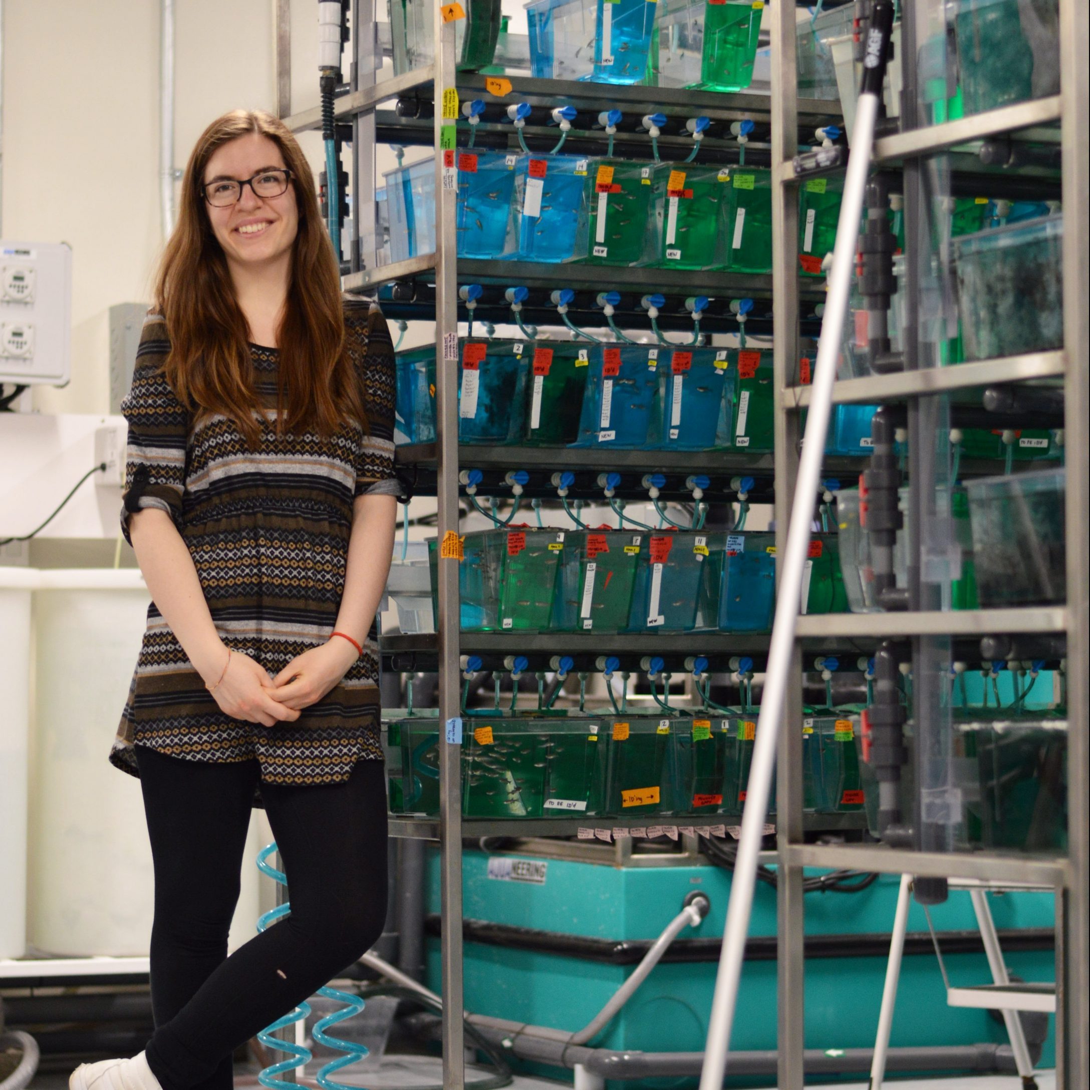 PhD student Amanda Miles stands beside a tall rack of fish tanks
