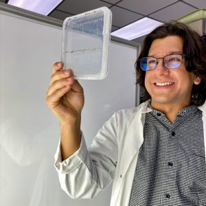 Eduardo Ramirez-Rodriguez holds a clear square petri plate up to the light to examine seedling roots growing down the plate